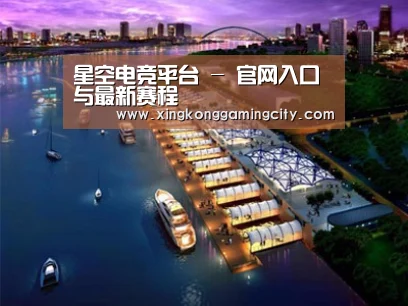 案例展示八