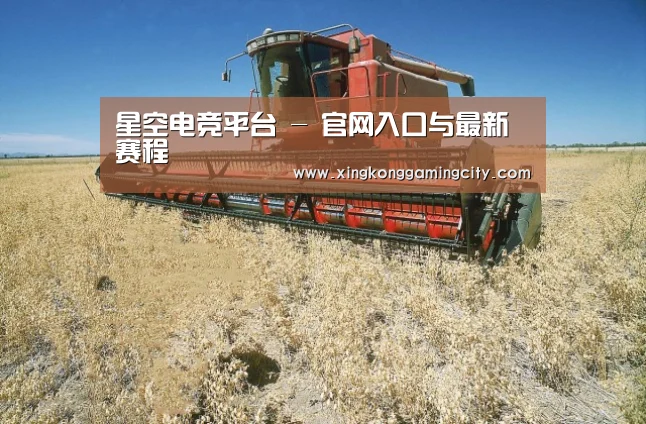 产品名称三